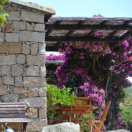 Residence Alba Rossa Serra di Ferro Esterno foto
