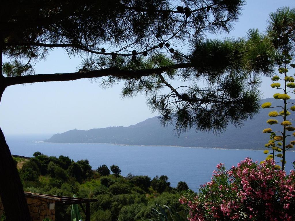 Residence Alba Rossa Serra di Ferro Esterno foto