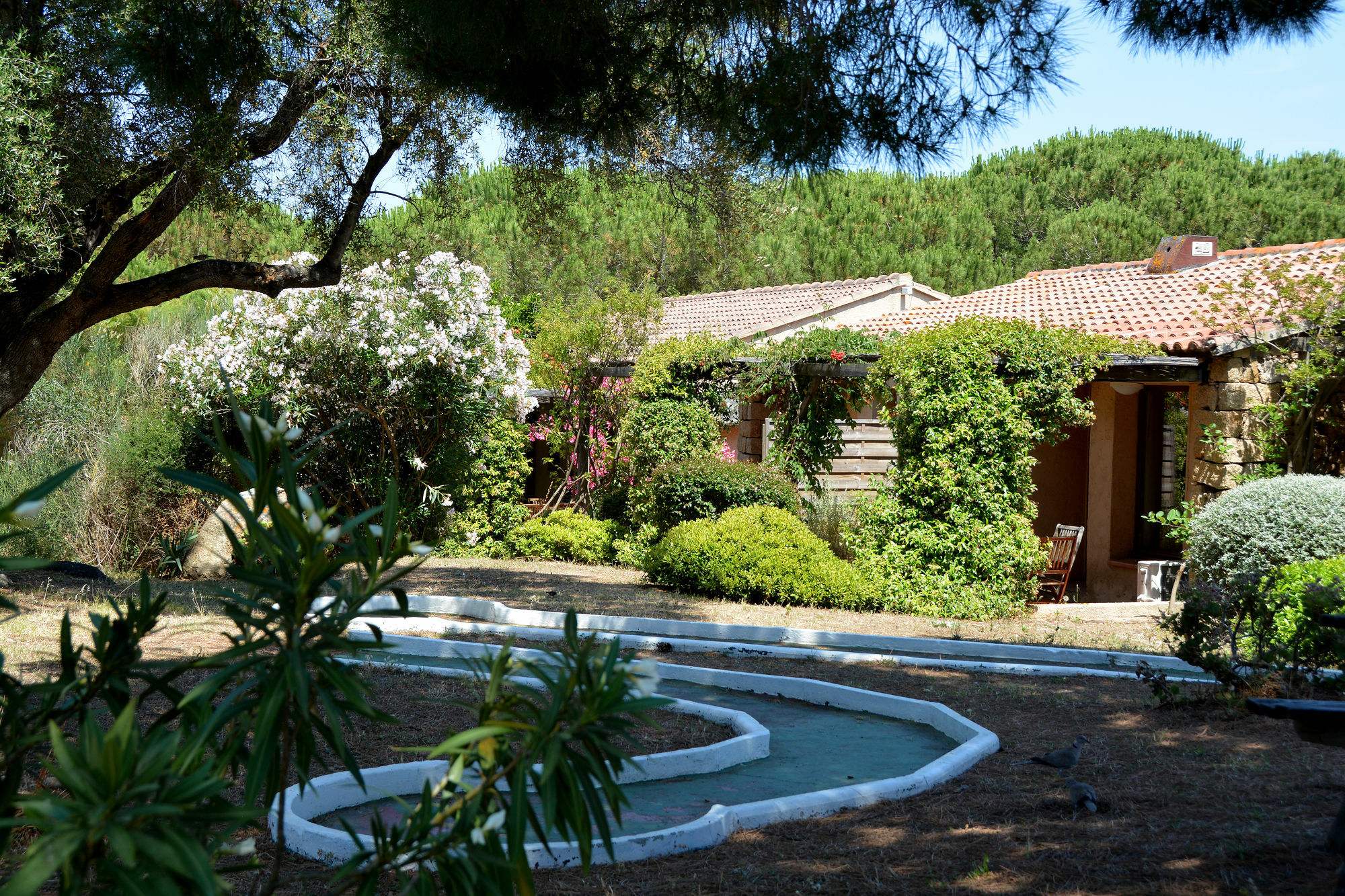 Residence Alba Rossa Serra di Ferro Esterno foto